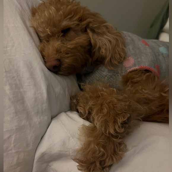 Meet your Posher, Tammy (a.k.a. spicy Tamarita!) - Picture 10 of 16